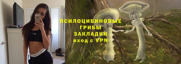 ешки Володарск